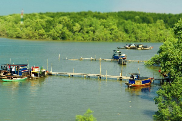 can gio mangrove forest - monkey island day tour